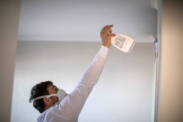 Best Residential Mold Removal  in Rancho Santa Fe, CA